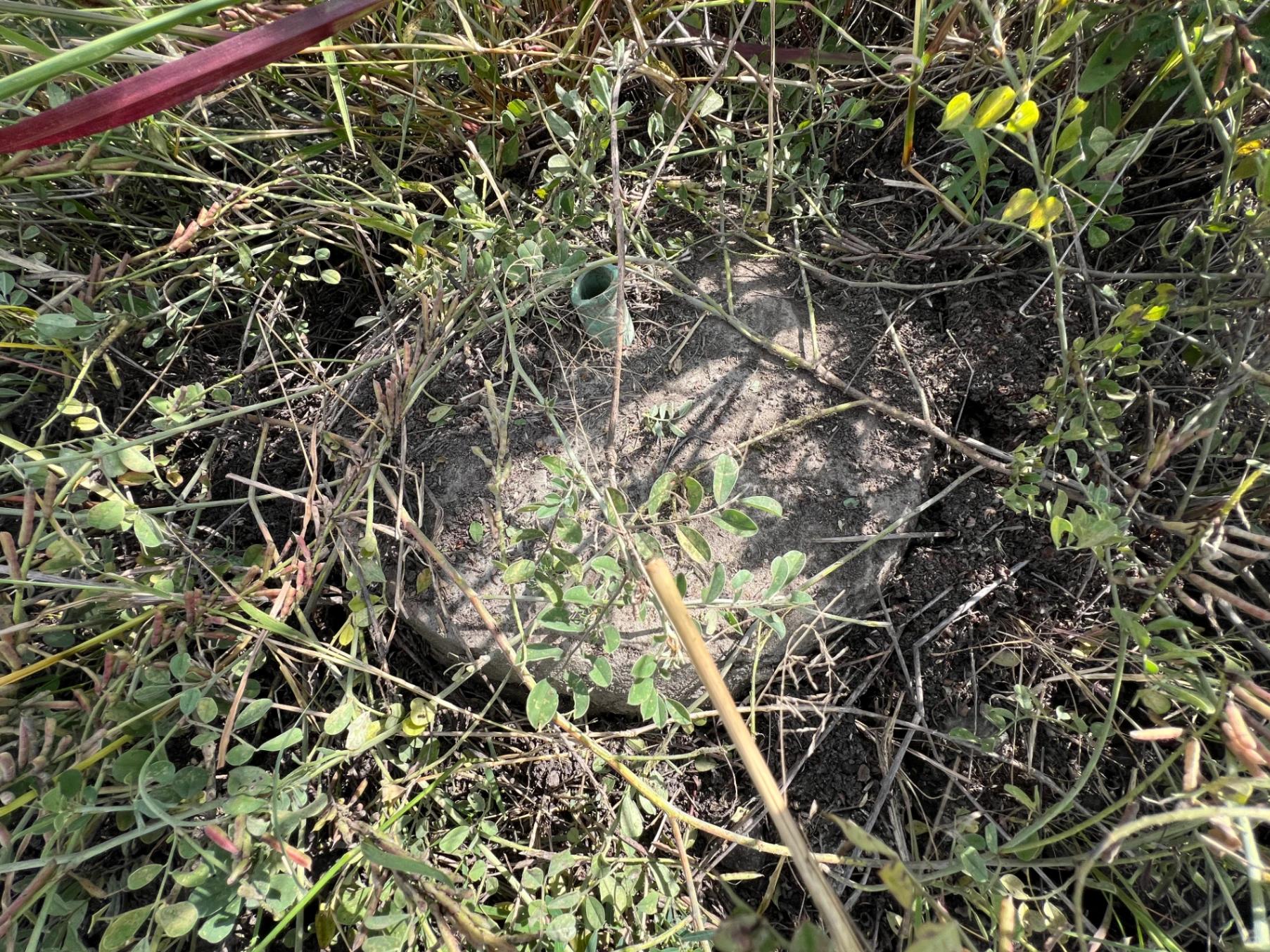 Prime 1/8-Acre Plot for Sale in Juja Mastore – Ksh 2.2M - Image 21