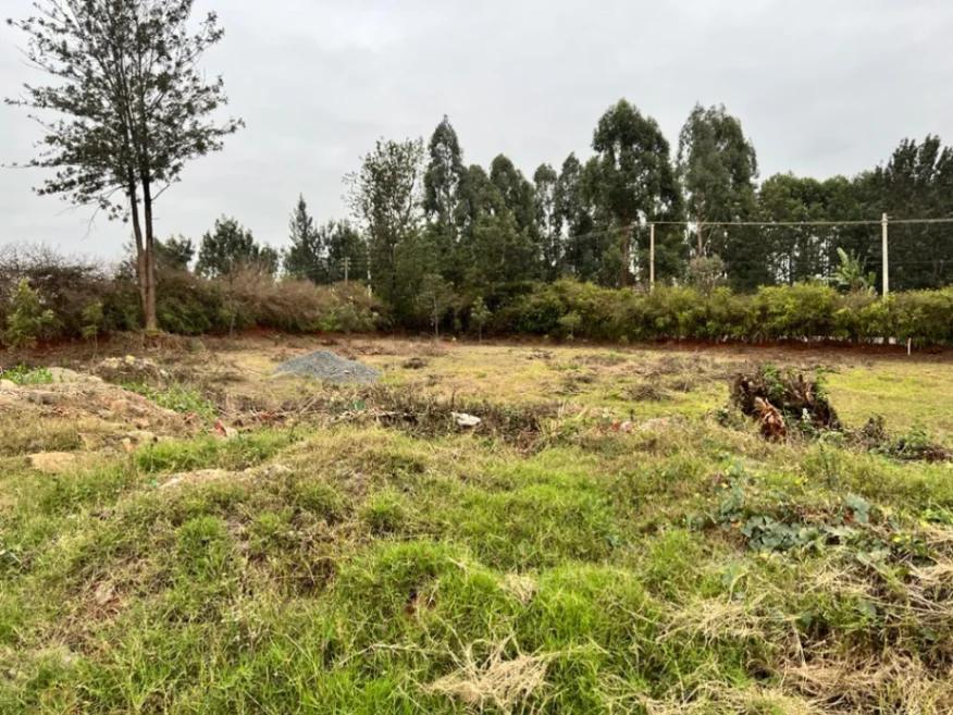 1/2 Acre plot on Sale in Kiambu road  - Image 13