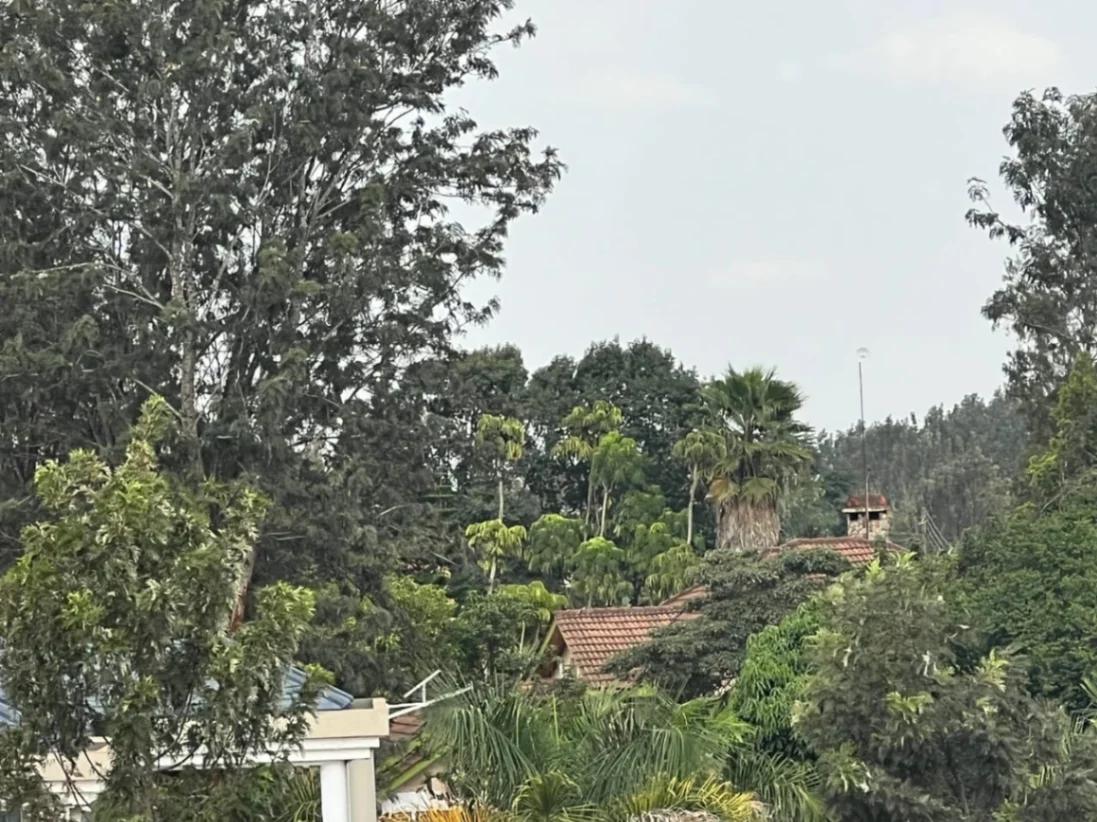 1/2 Acre plot on Sale in Kiambu road  - Image 8
