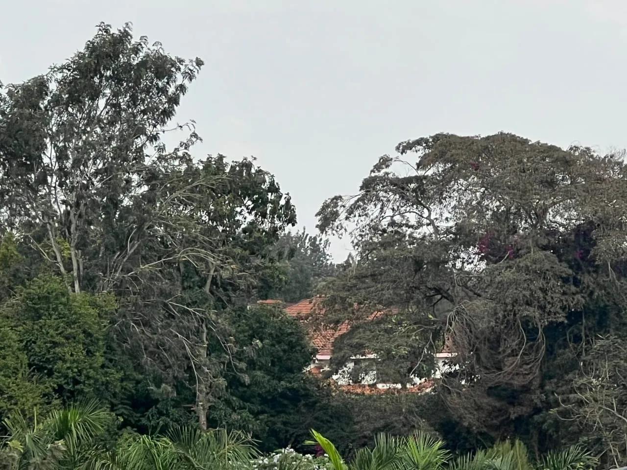 1/2 Acre plot on Sale in Kiambu road  - Image 14