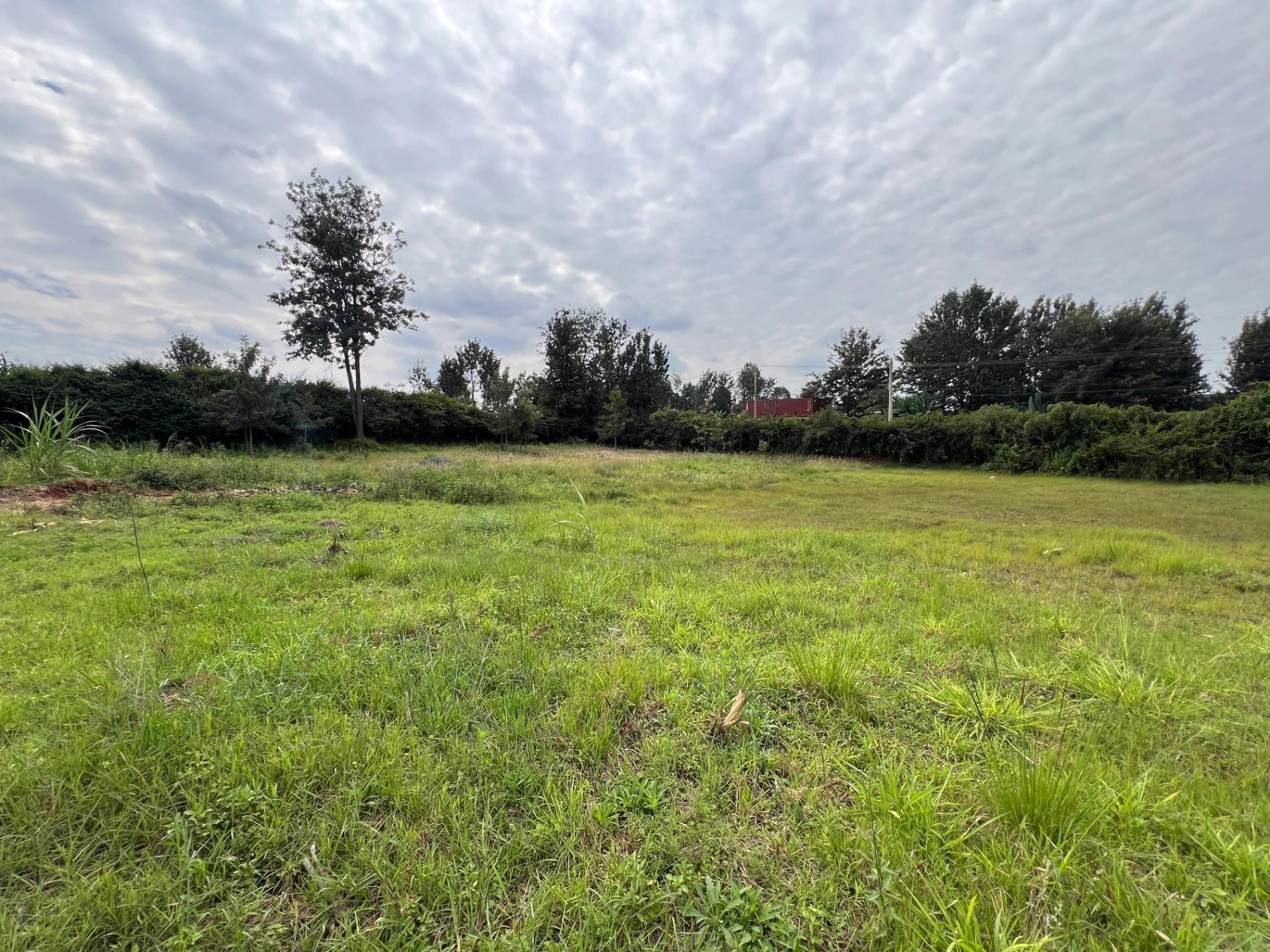 1/2 Acre plot on Sale in Kiambu road  - Image 15