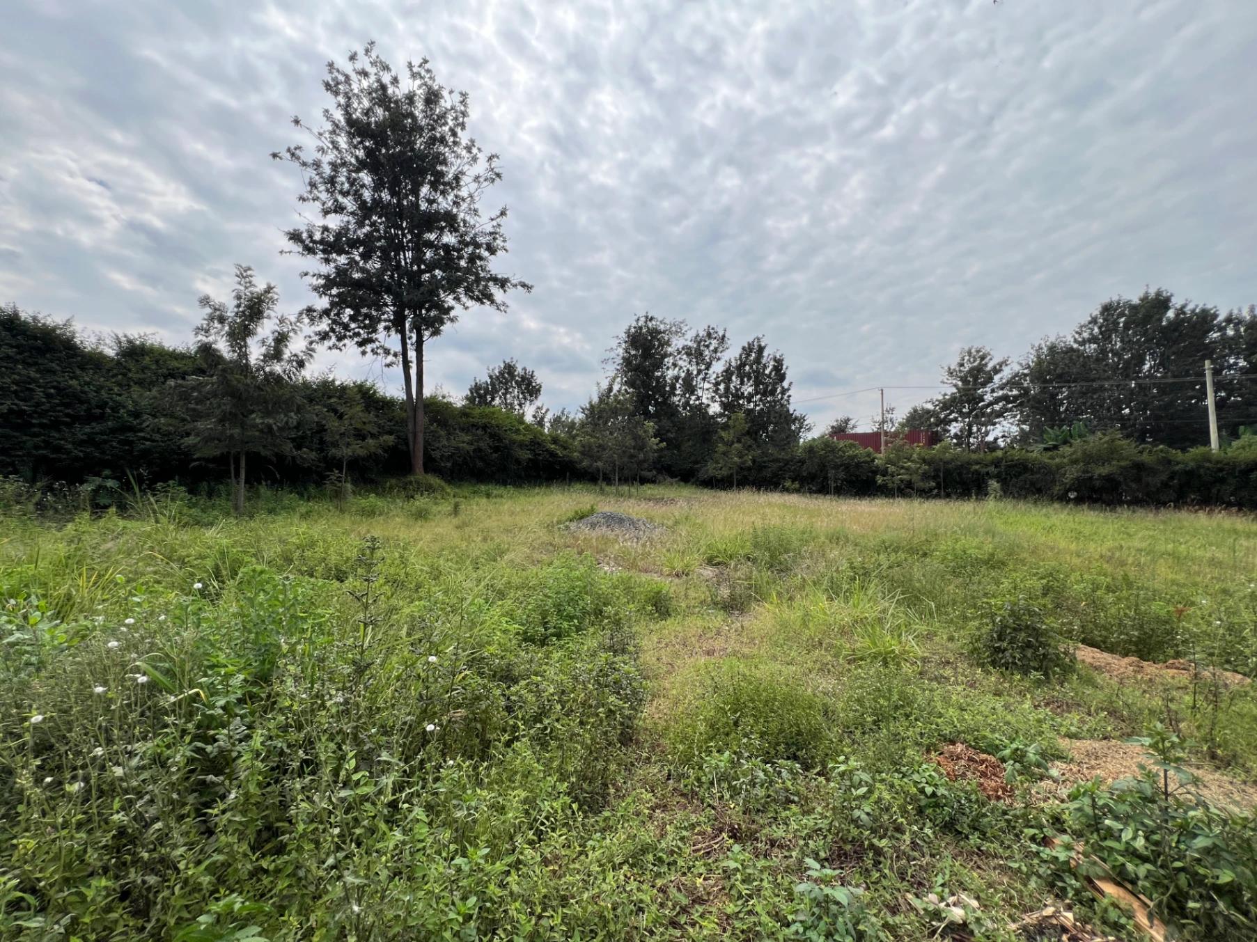 1/2 Acre plot on Sale in Kiambu road  - Image 19