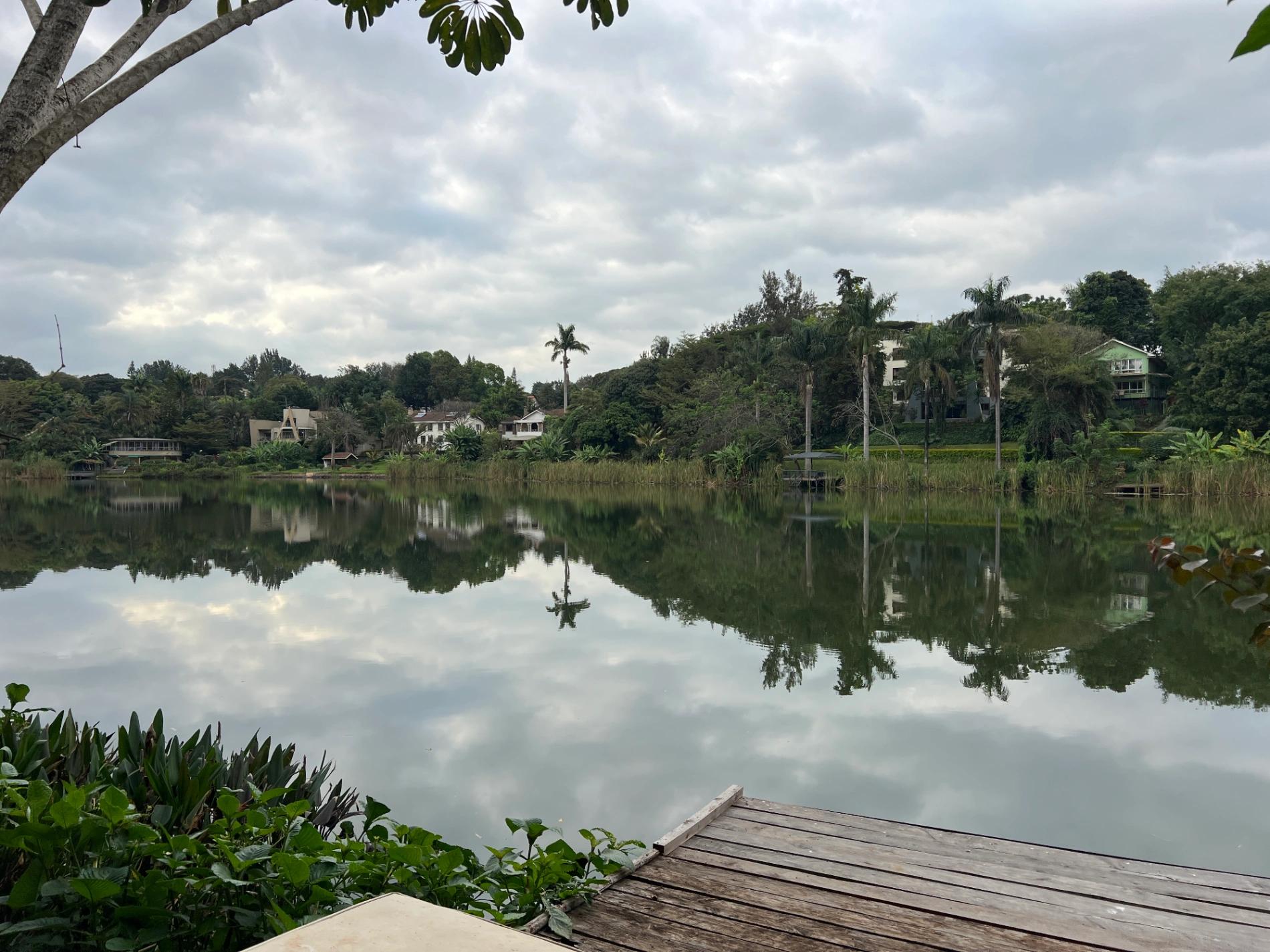 Luxury 4-Bedroom Mega Mansion – Nyari Estate (For Sale or Rent) - Image 3