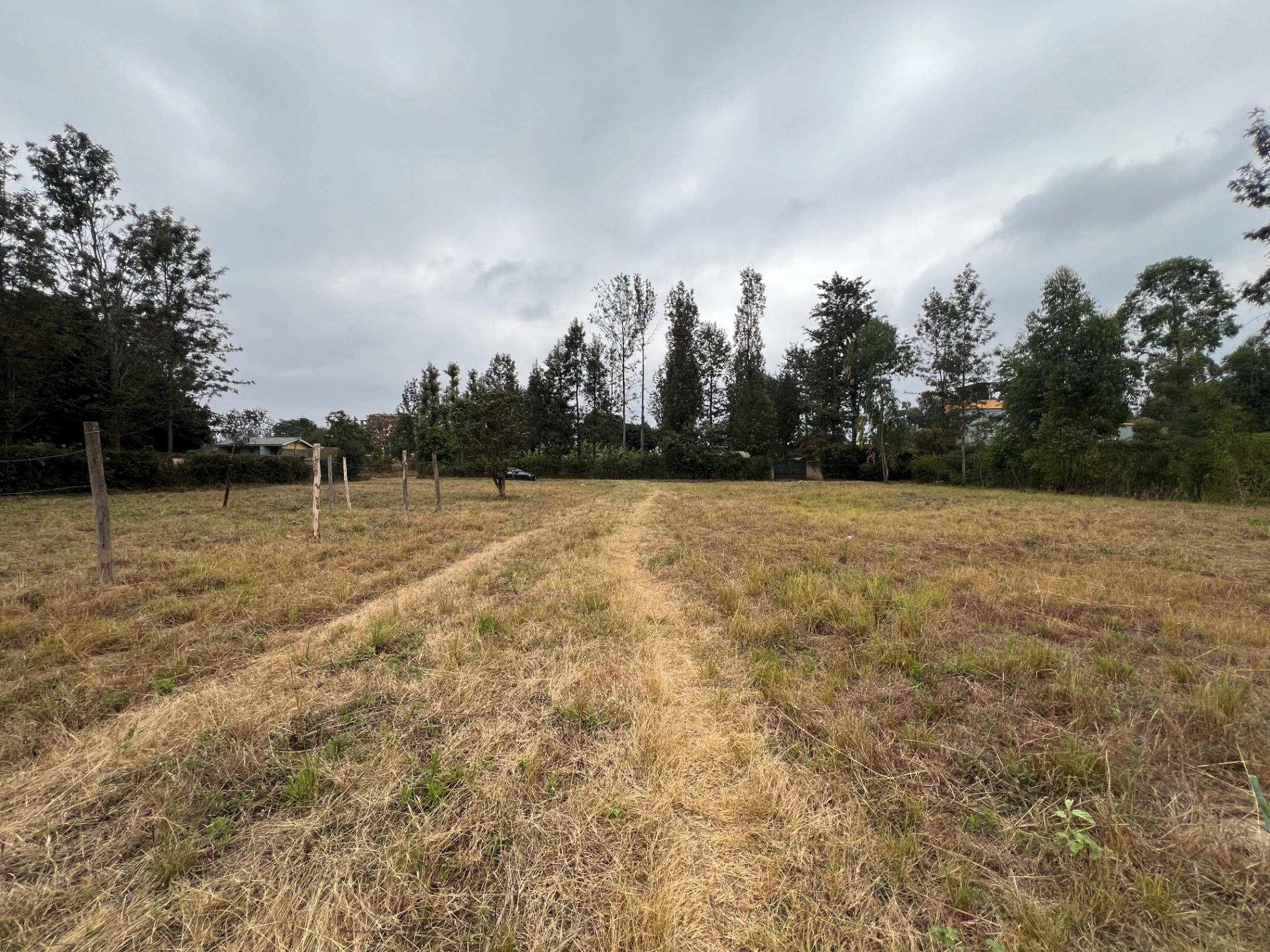 Plots for sale in Kenol Town- Muranga County - Image 5