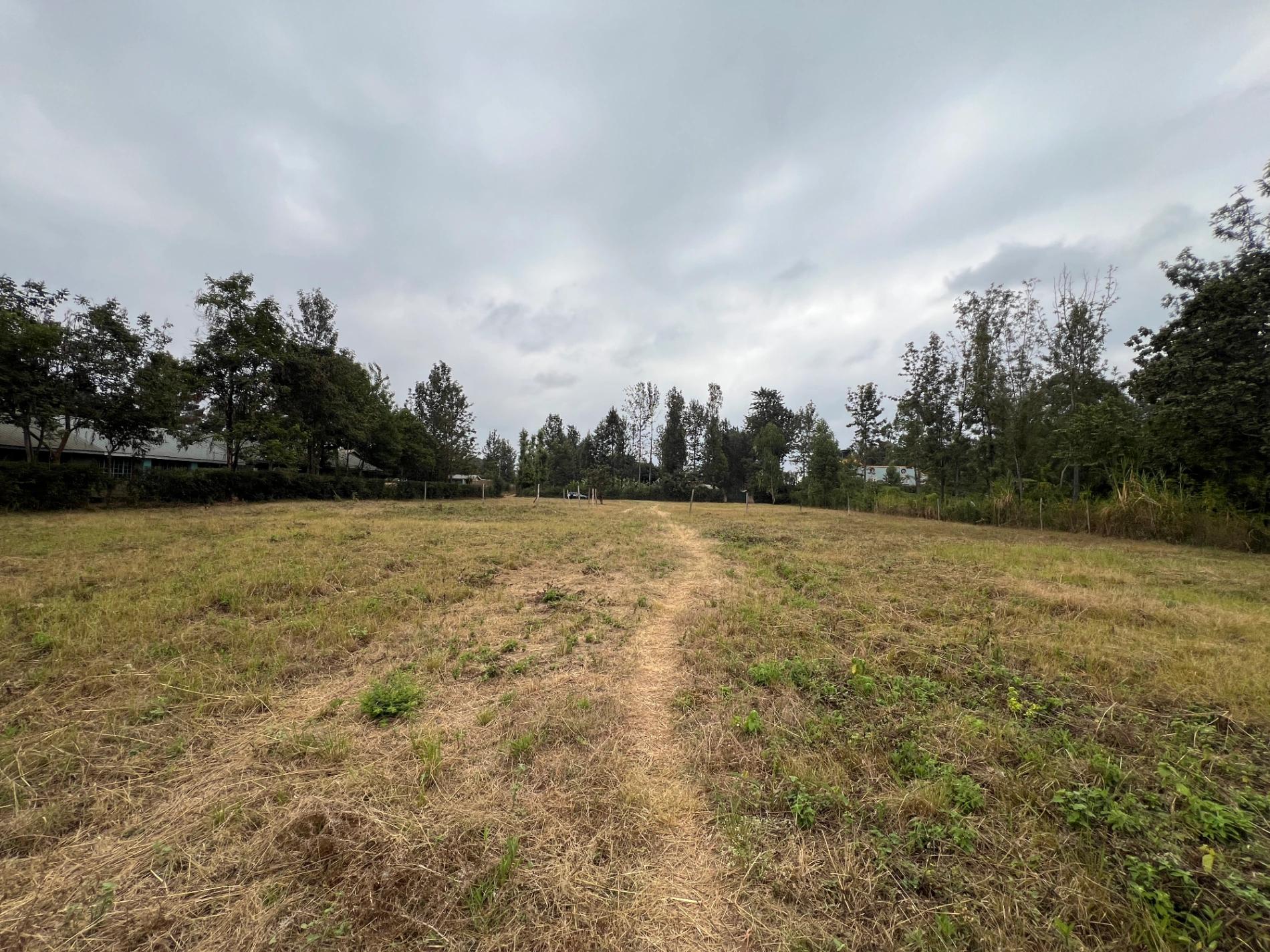 Plots for sale in Kenol Town- Muranga County - Image 4