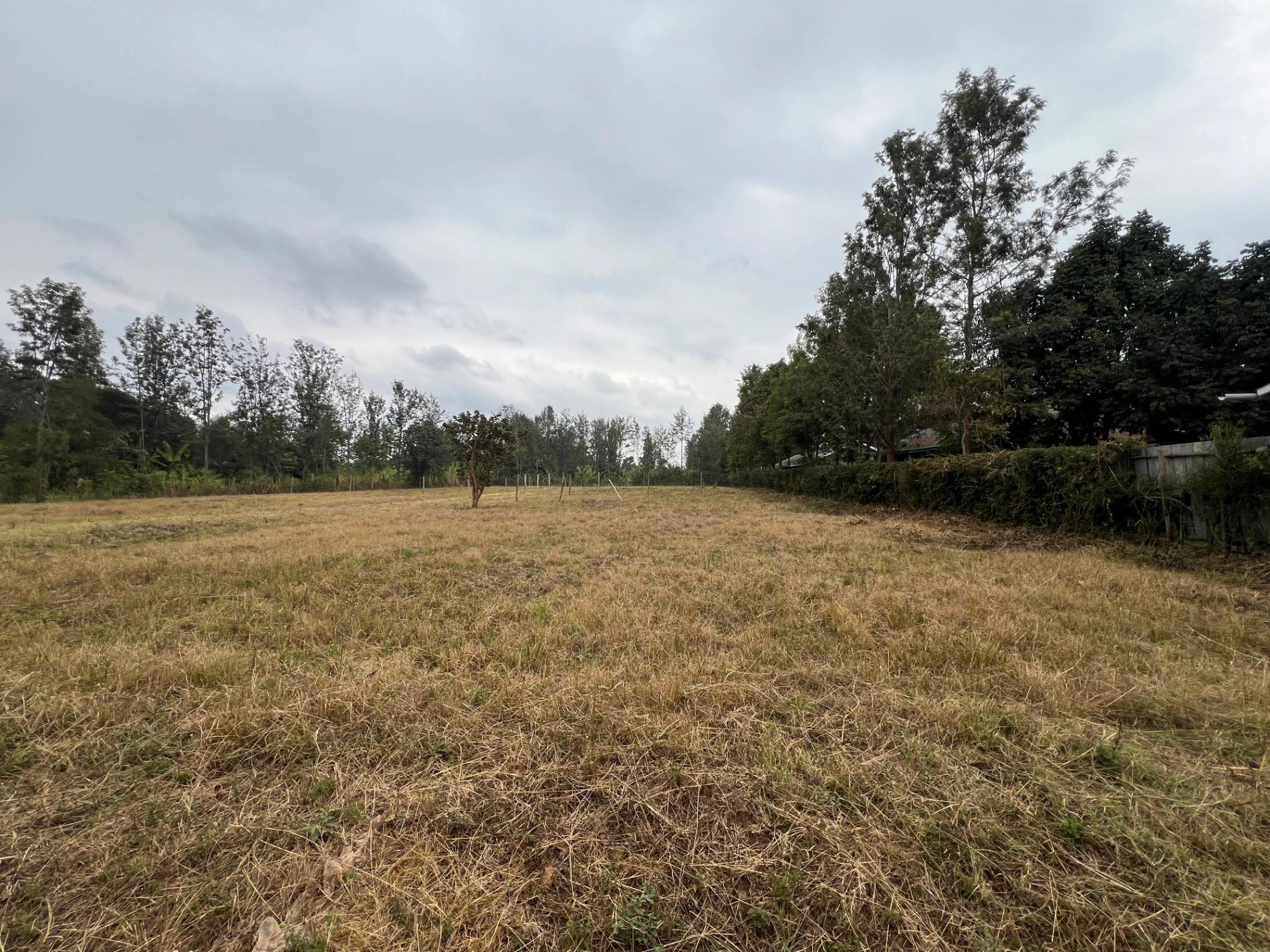 Plots for sale in Kenol Town- Muranga County - Image 7