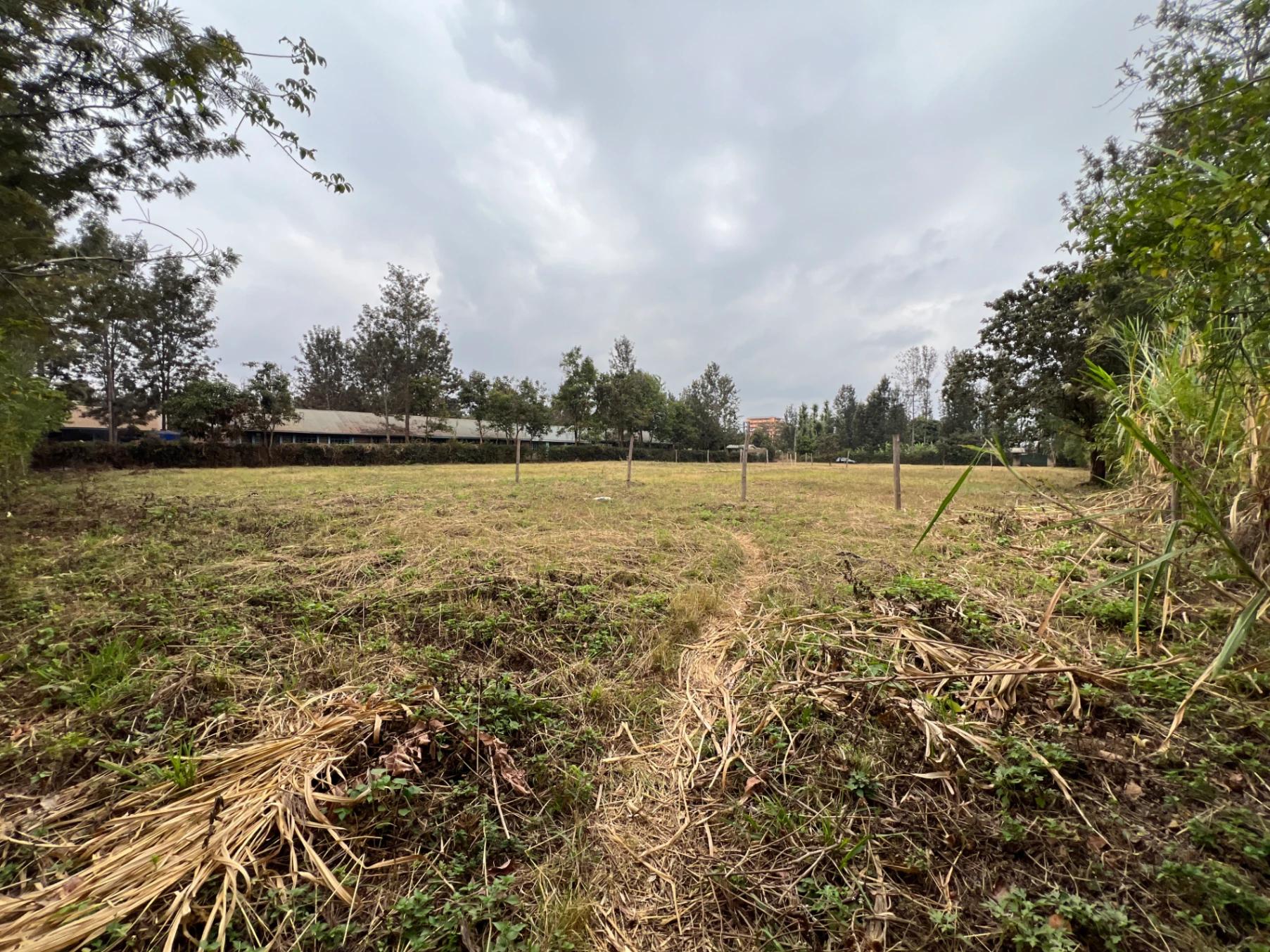 Plots for sale in Kenol Town- Muranga County - Image 9