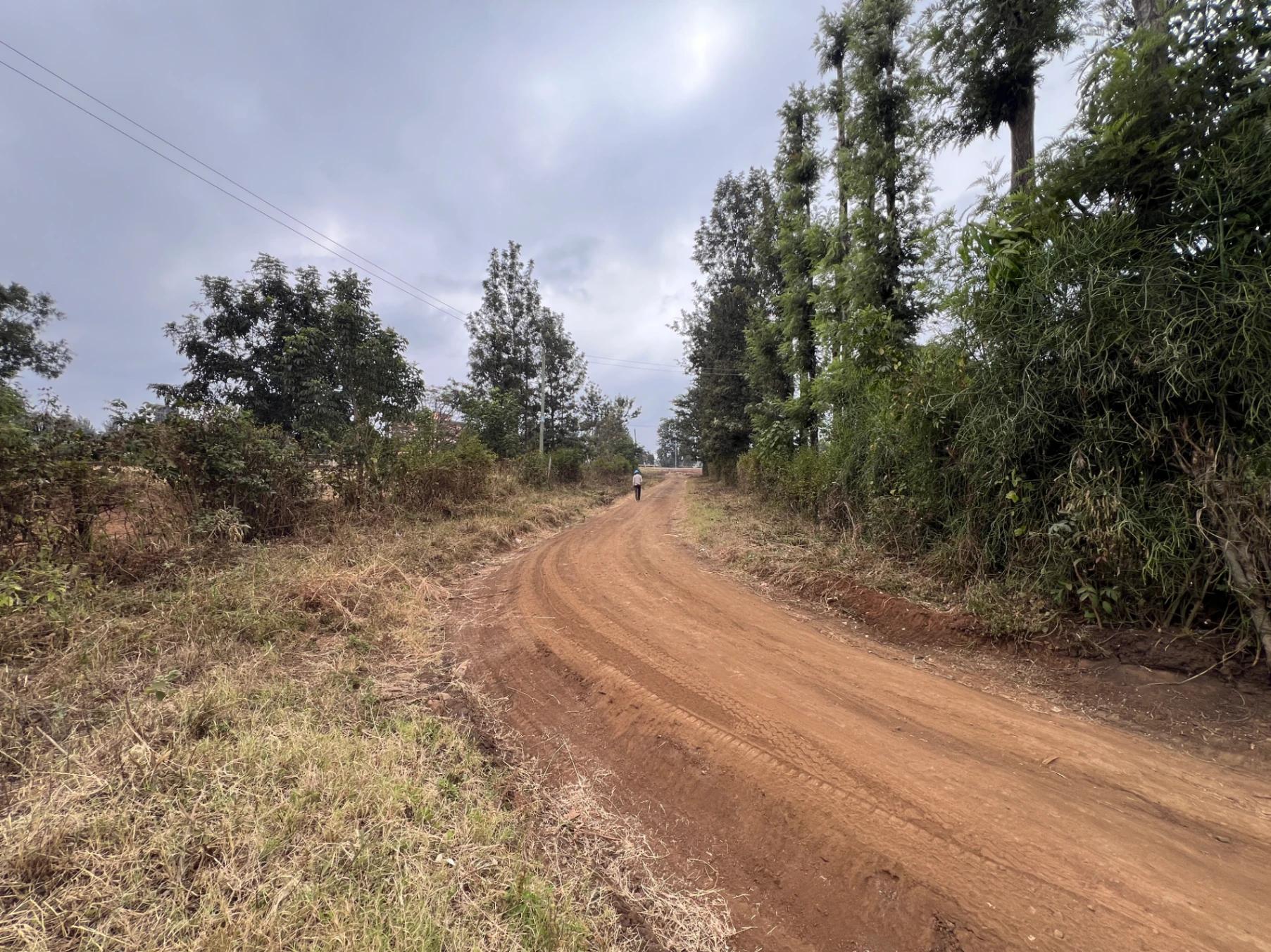 Plots for sale in Kenol Town- Muranga County - Image 10