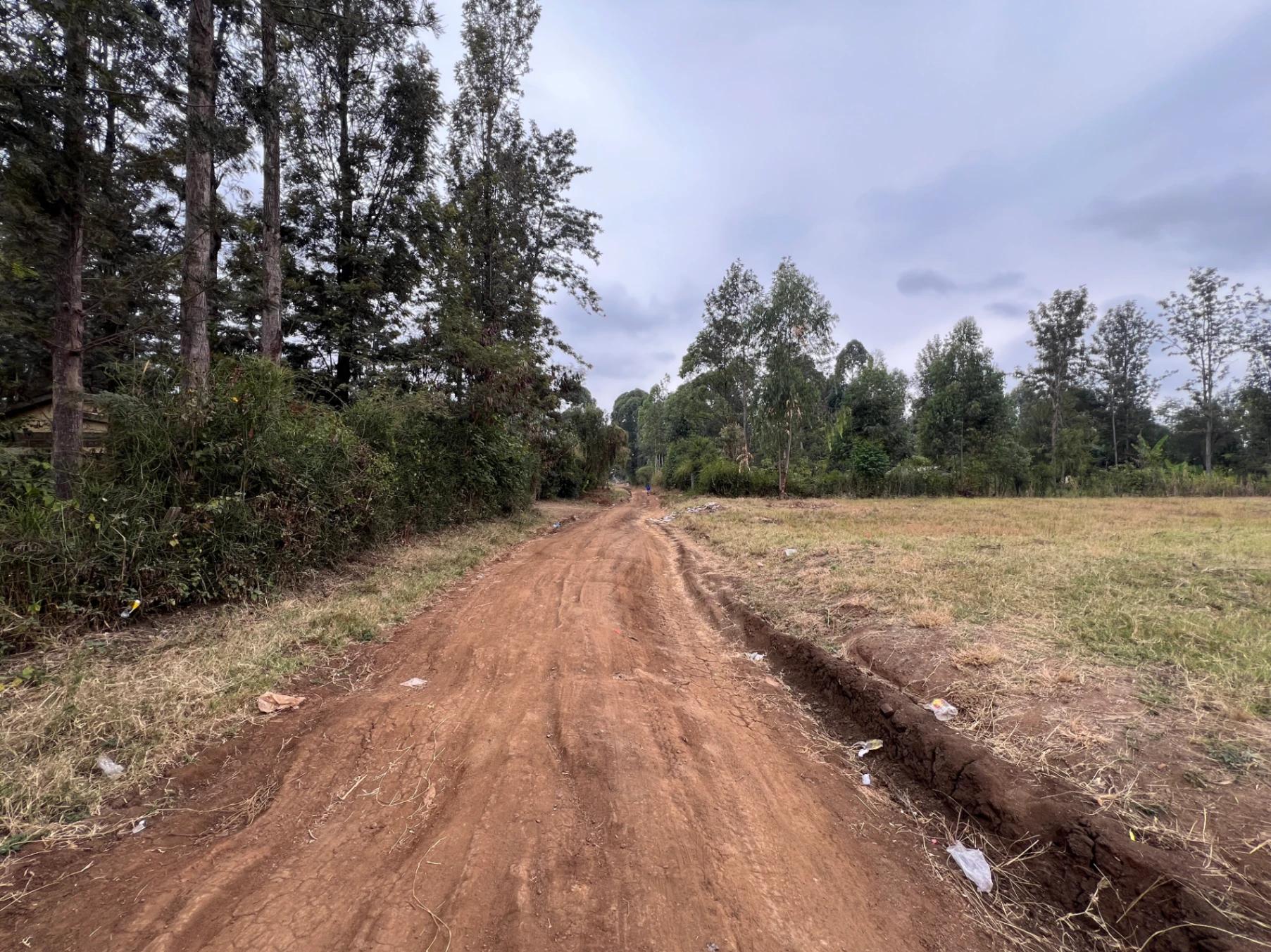Plots for sale in Kenol Town- Muranga County - Image 12