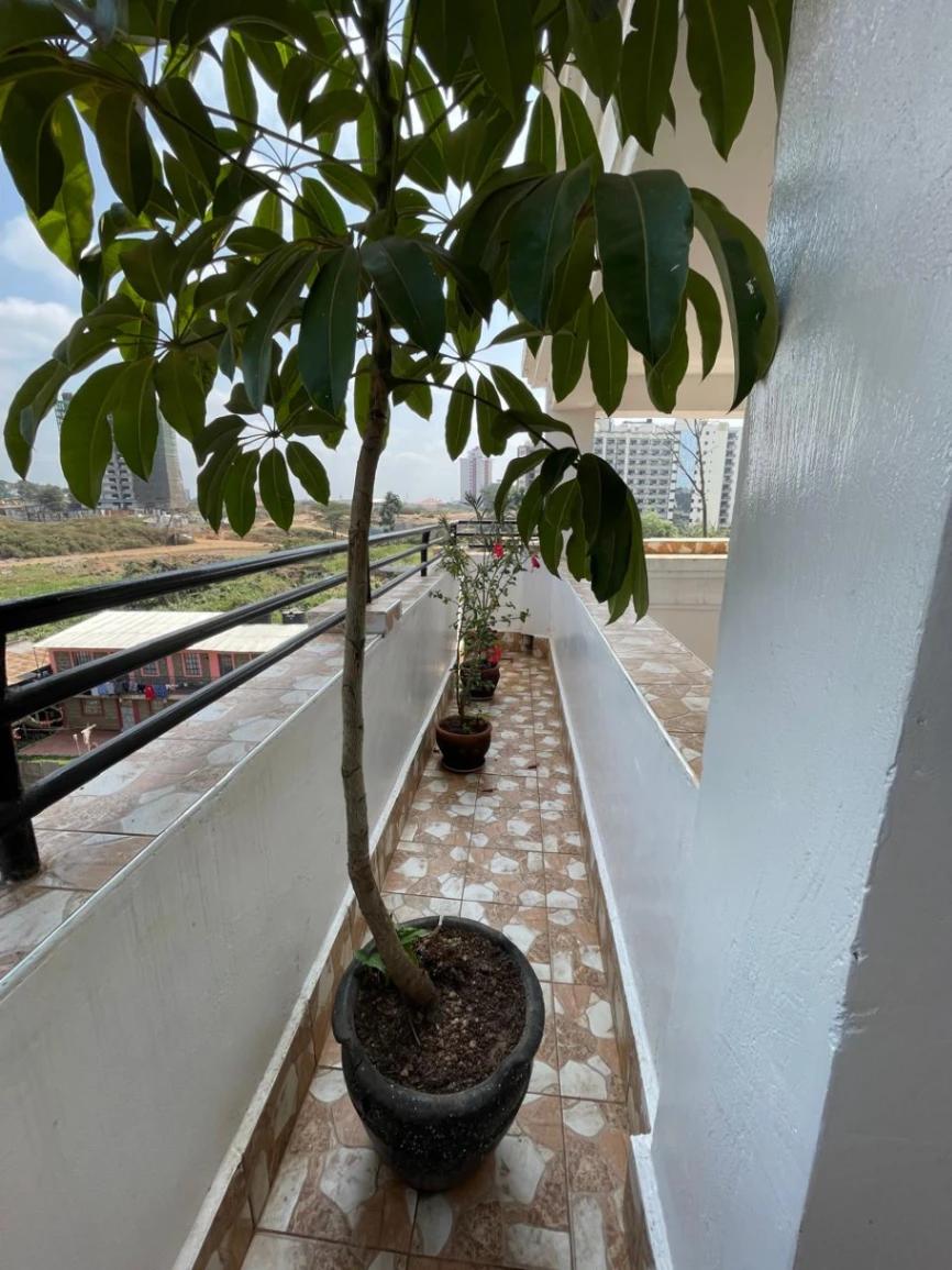 Githurai Famous Apartment & Mansion - Image 22