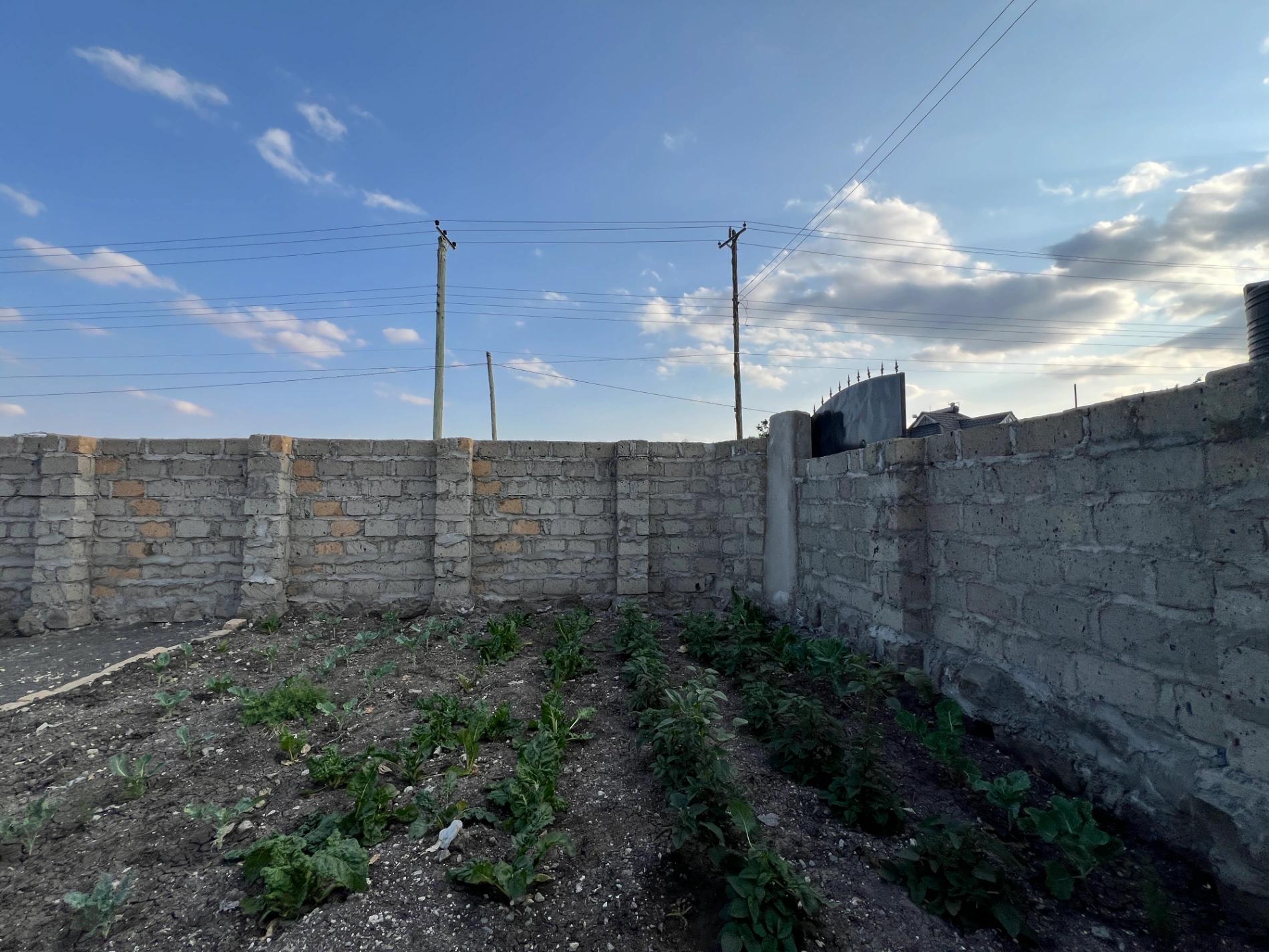 3 Bedroom Bungalows on Sale in Kitengela - Image 3