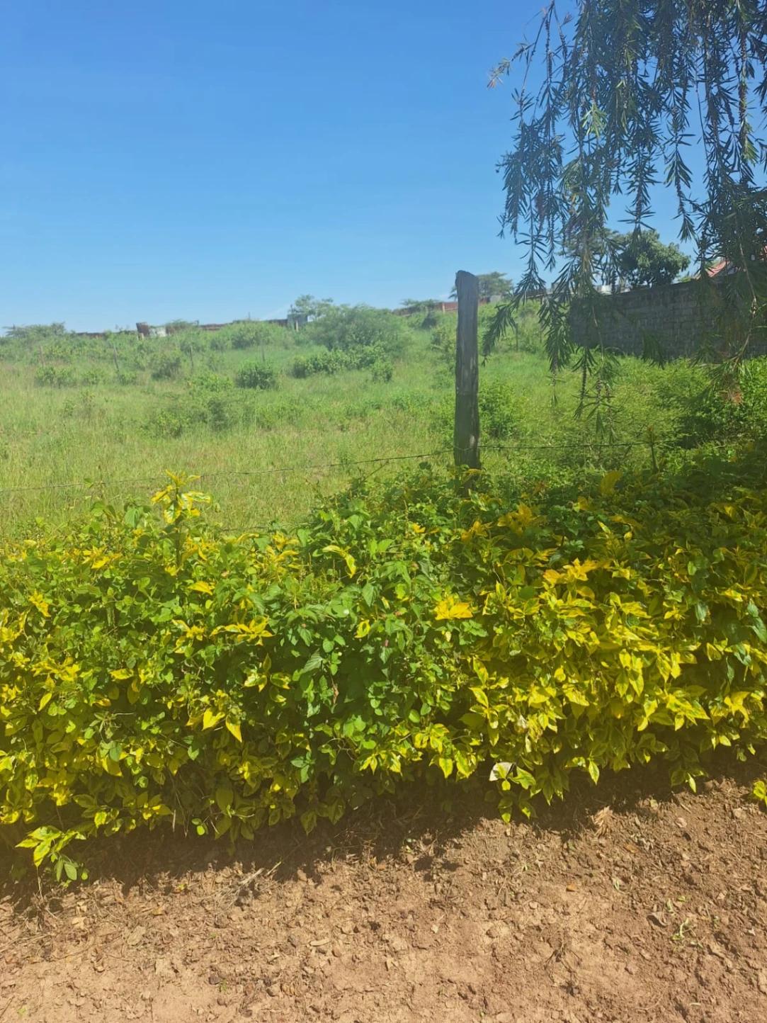 1/4 Plot on Sale in Kahawa sukari  - Image 2