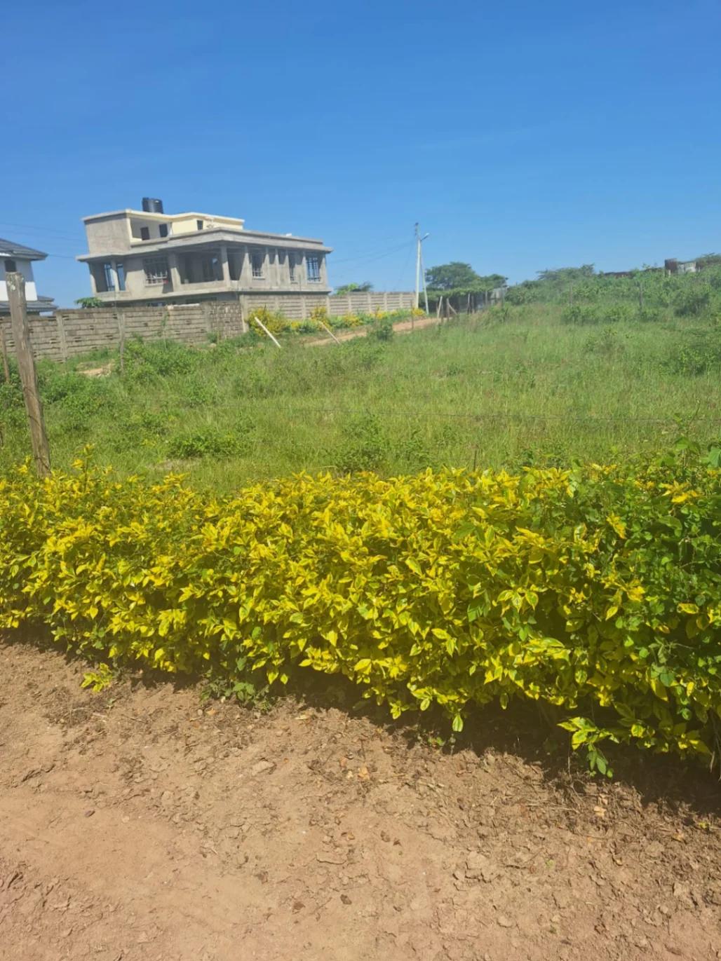 1/4 Plot on Sale in Kahawa sukari  - Image 3