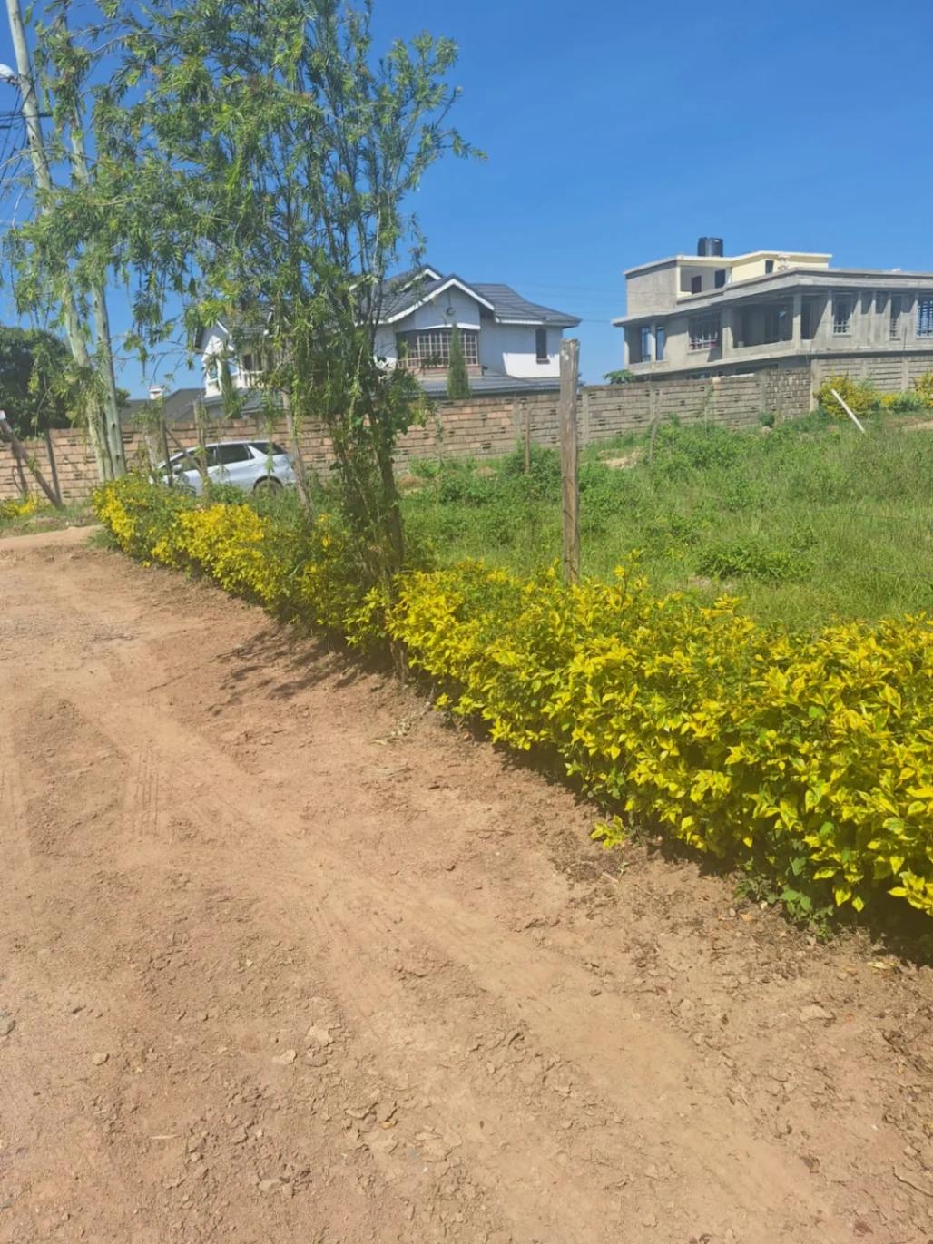 1/4 Plot on Sale in Kahawa sukari  - Image 4